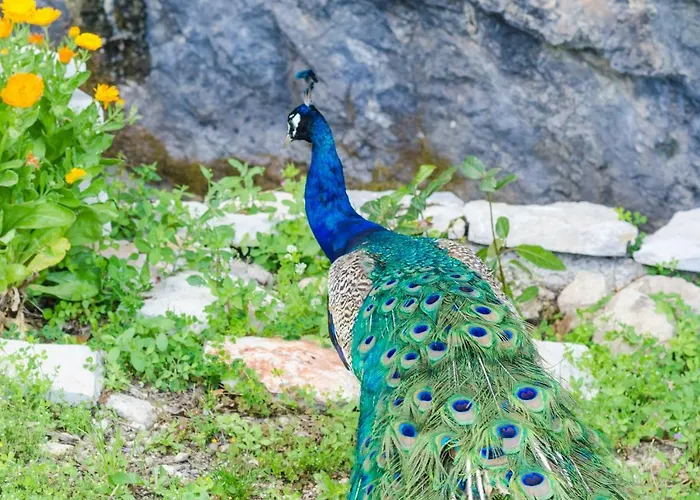 Vrelo Вилла Груда